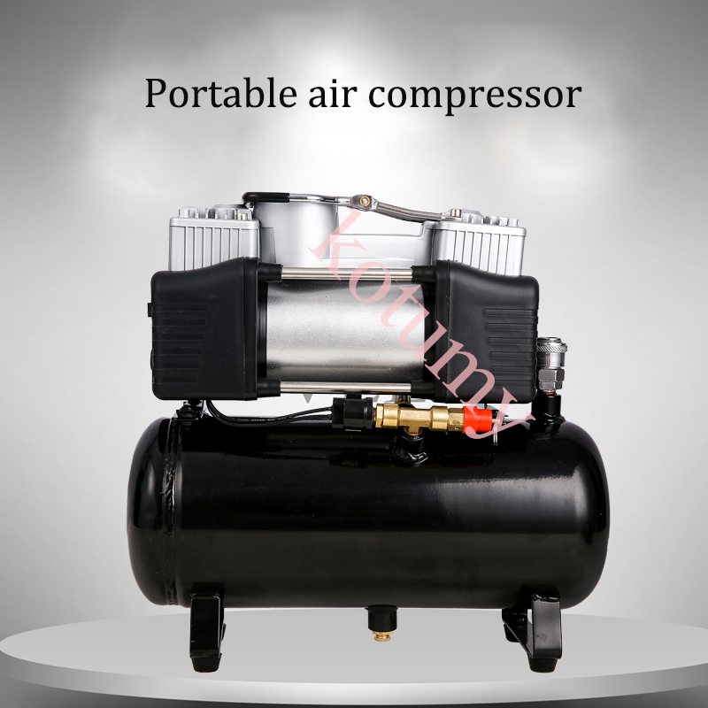 WAP01 2.5L 4L 12V 220V Air Com - Car Portable Tire Inflator review and price